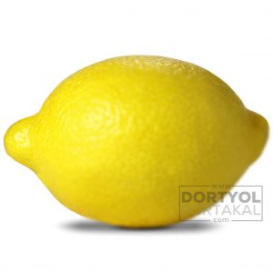 Kütdiken Limon