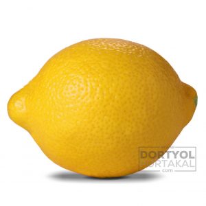 Mayer Limon